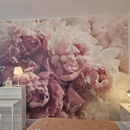 Casa Le Coccole Apartment Livorno Ngoại thất bức ảnh
